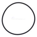 Speck Pumps 137 x 5 mm O-Ring for Pump Lid 2901141201